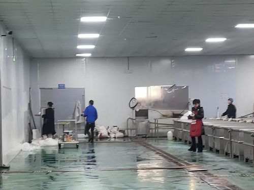 鹿哈毛肚爆單三千萬 品質(zhì)危機(jī)與供應(yīng)鏈誰人兜底？