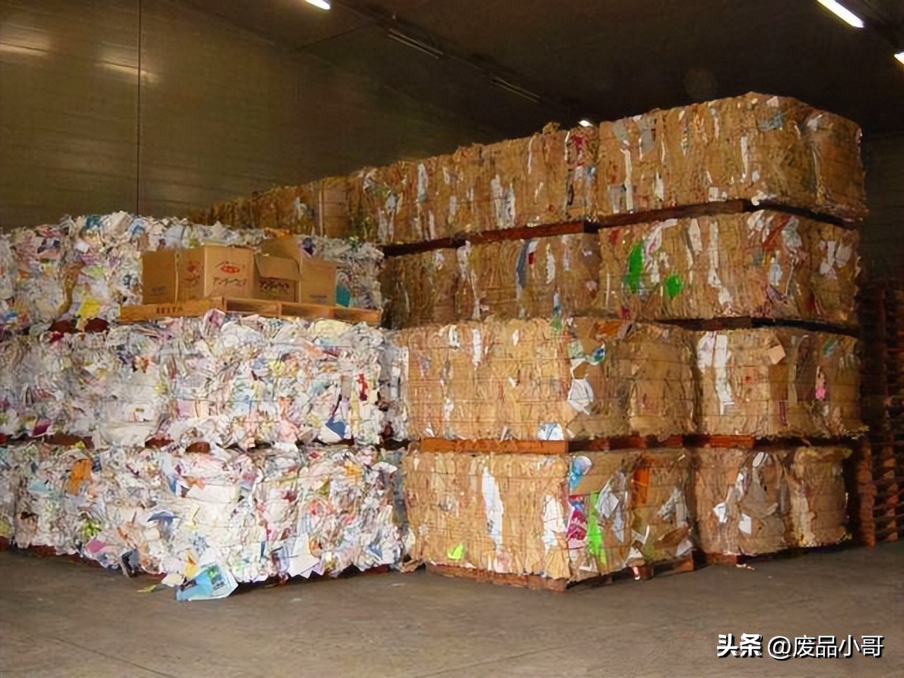 湖北廢紙價(jià)格最新行情與市場趨勢全面解析